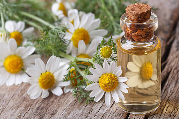 Chamomile Oil | Our Top 10 Oils For A Healthy Scalp In 2023