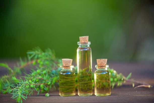Tea Tree Oil | Our Top 10 Oils For A Healthy Scalp In 2023